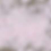 ヒメ日記 2026/04/10 20:39 投稿 とうか かりんと池袋