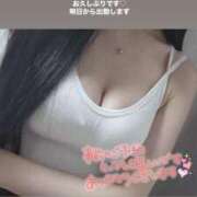 ヒメ日記 2025/03/18 18:01 投稿 ガーネット チューリップ姫路店