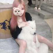 ヒメ日記 2025/09/18 01:46 投稿 ゆる ワンダーホール24in幕張