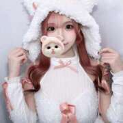 ゆる ふわふわおねこさま🐾 ワンダーホール24in幕張