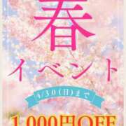 ヒメ日記 2024/04/04 12:35 投稿 はな ちゃんこ摂津・茨木店