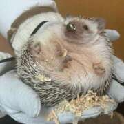 ヒメ日記 2025/02/07 18:40 投稿 ななこ 神田エマニエル