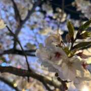 ヒメ日記 2025/04/10 17:39 投稿 なみ チェリー新宿店