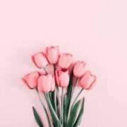 ヒメ日記 2025/03/07 21:51 投稿 新人・史帆(しほ) グランドオペラ福岡