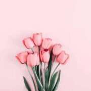 新人・史帆(しほ) お礼、本指名Y様 グランドオペラ福岡