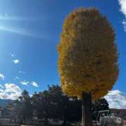 ヒメ日記 2024/12/08 20:09 投稿 しおり 白いぽっちゃりさん五反田店