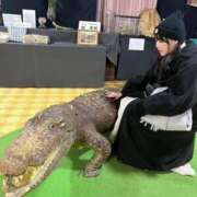 ヒメ日記 2025/06/28 22:09 投稿 しおり 白いぽっちゃりさん五反田店