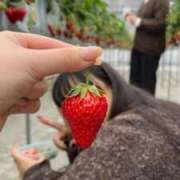 しおり 出勤しました 白いぽっちゃりさん五反田店