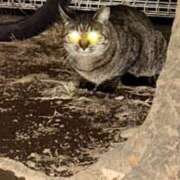 ヒメ日記 2025/01/09 00:54 投稿 ちえり 人妻倶楽部 内緒の関係 川越店