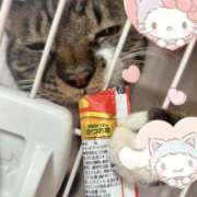 ヒメ日記 2025/01/16 13:58 投稿 ちえり 人妻倶楽部 内緒の関係 川越店