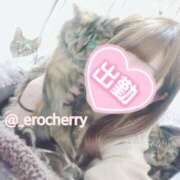 ヒメ日記 2025/05/28 10:15 投稿 ちえり 人妻倶楽部 内緒の関係 川越店