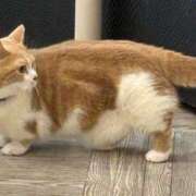 ヒメ日記 2025/08/23 11:14 投稿 ちえり 人妻倶楽部 内緒の関係 川越店