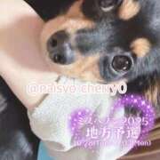 ヒメ日記 2025/11/05 08:28 投稿 ちえり 人妻倶楽部 内緒の関係 川越店