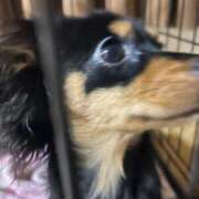 ヒメ日記 2025/11/25 20:50 投稿 ちえり 人妻倶楽部 内緒の関係 川越店