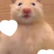 ヒメ日記 2025/12/22 10:36 投稿 ちえり 人妻倶楽部 内緒の関係 川越店