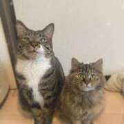 ヒメ日記 2026/01/08 13:34 投稿 ちえり 人妻倶楽部 内緒の関係 川越店