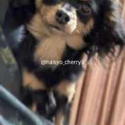 ヒメ日記 2026/01/22 08:08 投稿 ちえり 人妻倶楽部 内緒の関係 川越店