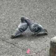 ヒメ日記 2026/02/14 09:38 投稿 ちえり 人妻倶楽部 内緒の関係 川越店