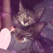 ヒメ日記 2026/03/25 09:58 投稿 ちえり 人妻倶楽部 内緒の関係 川越店