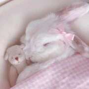 ヒメ日記 2026/03/30 09:48 投稿 ちえり 人妻倶楽部 内緒の関係 川越店