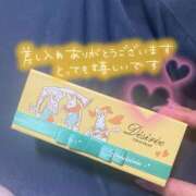 ヒメ日記 2025/03/09 10:42 投稿 かのん お客様満足度NO.1デリヘル！ 秘密倶楽部 凛 千葉