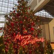 ヒメ日記 2024/12/23 16:12 投稿 愛の翼【アイノツバサ】 LOVEキタ兎我野店