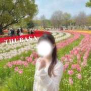 ヒメ日記 2025/04/25 12:29 投稿 愛の翼【アイノツバサ】 LOVEキタ兎我野店