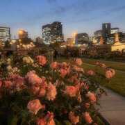 愛の翼【アイノツバサ】 ごめんなさい！ LOVEキタ兎我野店