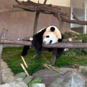 ヒメ日記 2025/07/04 11:58 投稿 愛河　さら 未熟な人妻