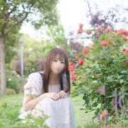 ヒメ日記 2025/11/18 14:30 投稿 あすか コートダジュール