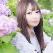 ヒメ日記 2025/12/31 20:51 投稿 あすか コートダジュール