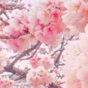 琥珀さき 桜🌸 ウルトラロイヤル