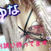 ヒメ日記 2025/02/01 00:15 投稿 ゆな：業初新人 高知ぽっちゃり専門店