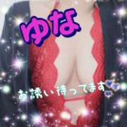 ヒメ日記 2025/05/11 23:52 投稿 ゆな：業初新人 高知ぽっちゃり専門店