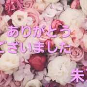 滝道朱乃 〜　Hさま　〜 五十路マダム 徳島店