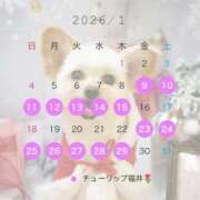 ゆみ 来年 チューリップ福井本館