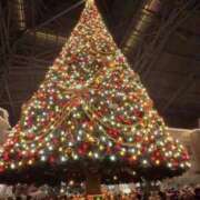 ゆみ 🎄🐭 チューリップ福井本館