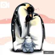 ヒメ日記 2025/02/16 02:43 投稿 とわ 妻天 京橋店