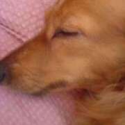 ヒメ日記 2025/04/21 03:13 投稿 とわ 妻天 京橋店