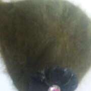 ヒメ日記 2025/09/23 03:18 投稿 とわ 妻天 京橋店