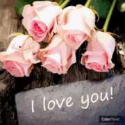 ヒメ日記 2026/02/27 03:13 投稿 とわ 妻天 京橋店