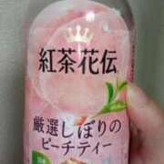 ヒメ日記 2026/03/31 02:01 投稿 とわ 妻天 京橋店