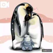 ヒメ日記 2026/03/31 04:44 投稿 とわ 妻天 京橋店