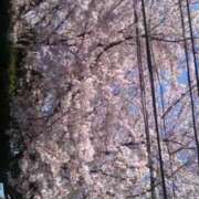 ヒメ日記 2026/04/02 17:24 投稿 とわ 妻天 京橋店