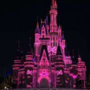 ひまり しゅっきん！ パンドラ(上野)