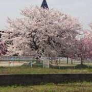 ヒメ日記 2026/03/13 18:59 投稿 ひまり パンドラ(上野)