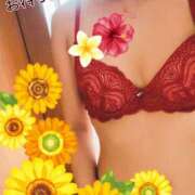 ヒメ日記 2025/08/19 17:31 投稿 中谷美緒 越谷デリヘル エトワ