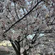 中谷美緒 今日は寒い〜 越谷デリヘル エトワ