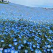 ヒメ日記 2026/04/20 19:16 投稿 中谷美緒 越谷デリヘル エトワ