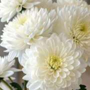 ヒメ日記 2026/01/04 11:41 投稿 鈴木なぎさ 人妻百花